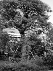 商城注册公司